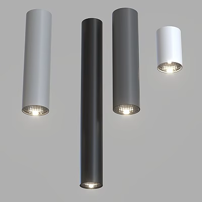 Modern Downlights And Spotlights With Sleek Design Gray And White LED Lighting 3d model