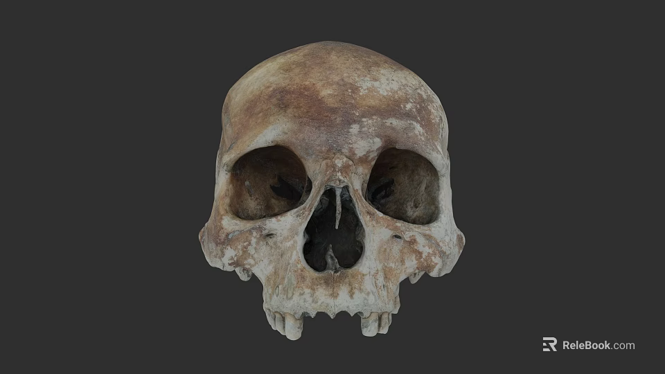 Modern Naval Warship Featuring Advanced Weapon Systems And Radar Technology 3d model