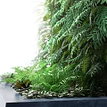 Living Plant Wall With Lush Green Foliage And Various Leaf Types For Indoor Decor