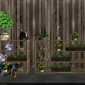 Various Potted Plants On Wooden Shelves With Green Foliage Purple Yellow Flowers And Wood Wall Background