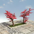 Two Red Leaf Trees with Vibrant Foliage on Stone Paved Ground under Blue Sky 3d model
