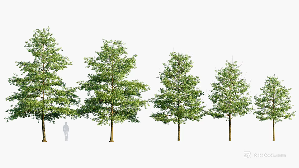 Various Green Leafy Trees With Different Sizes And Silhouette Figure For Landscape 3d model 