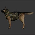 German Shepherd Dog Standing With Camouflage Tactical Vest And Gear