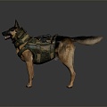 Modern Dog Army Dog Drug Dog 3d model