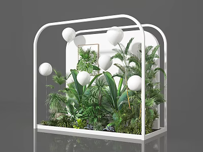 Lush Green Plant Arrangement In White Framed Display Case With White Spherical Decorations 3d model