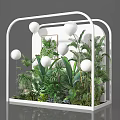 Lush Green Plant Arrangement In White Framed Display Case With White Spherical Decorations