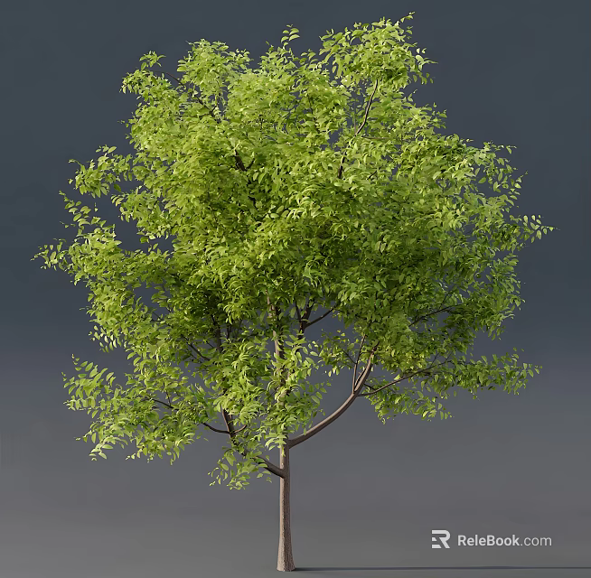 Lush Green Arbor With Vibrant Foliage And Natural Branch Structure 3d model 