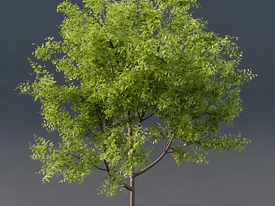 Lush Green Arbor With Vibrant Foliage And Natural Branch Structure 3d model