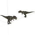 Realistic T Rex Dinosaur Models Standing On White Background With Detailed Texture 3d model
