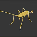 Golden Metallic Insect Sculpture With Long Antennae And Legs On Dark Background