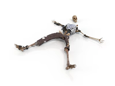Low Multilateral Style Skeleton Skeleton Skeleton Human Skeleton Cardboard Skeleton Lying and Stretching Arm Death Animal White Bottom Human Skull Skeleton 3d model