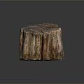 Unique Petrified Wood Stump Decor With Natural Texture For Home