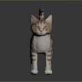 Striped Cat Standing with Raised Tail and White Paws on Gray Background 3d model