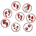 Creative Wall Decor With Animal And Human Footprints In Circular Designs