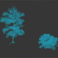 Tall and Short Pine Trees Featuring Slender Trunk Sparse and Dense Foliage on White Background