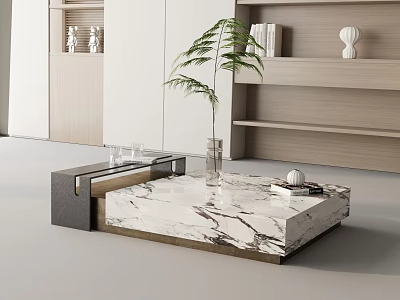 Modern Sofa and Coffee Table Set With Marble Top Potted Plant and Decorative Shelves 3d model