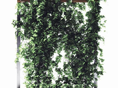 Lush Green Hanging Vines With Dense Leafy Foliage For Natural Decor Design 3d model