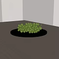 Fresh Green Grapes Placed on Black Plate Over Light Wooden Table