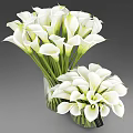 Decorative White Calla Lilies Arranged in Two Glass Vases with Green Stems and Black Tag