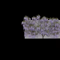 Artistic Wisteria Flower Decorative Ornament Set for Home Indoor Decoration