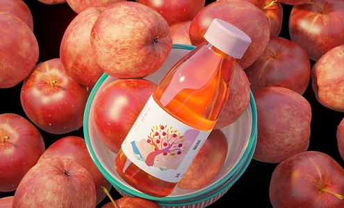 Modern Apple Cider Vinegar 3d model