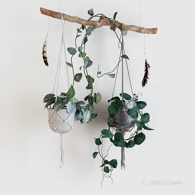 Macramé Hanging Planters With Trailing Green Ivy Plants Suspended From Wooden Branch And Feather Accents 3d model 