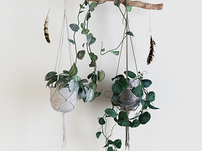 Nordic Hanging Basket Green Root Carving model