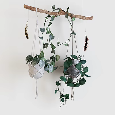 Macramé Hanging Planters With Trailing Green Ivy Plants Suspended From Wooden Branch And Feather Accents 3d model