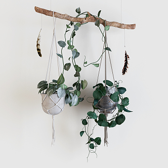 Nordic Hanging Basket Green Root Carving 3d model