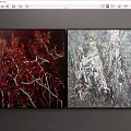 Two Modern Abstract Paintings with Red Gray Textures on Gray Wall 3d model