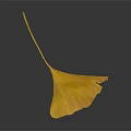 Golden Ginkgo Leaf With Visible Veins Isolated On Dark Background Surface