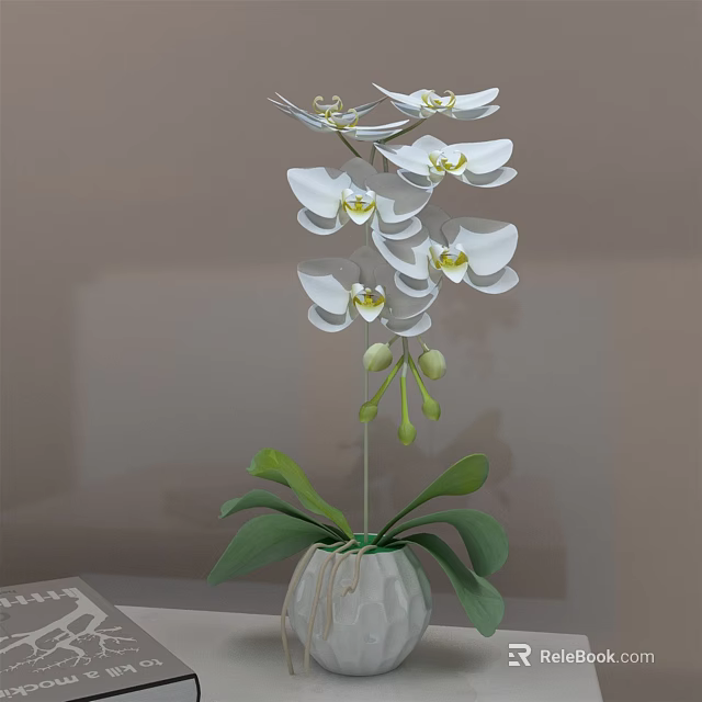 White Orchid Potted Plant with White Flowers Green Leaves in Simple White Pot 3d model 