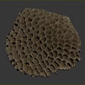 Bees Honeycomb Nest With Rounded Textured Structure On Dark Background