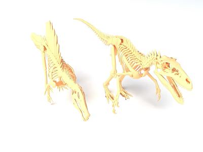 Yellow Dinosaur Skeleton Models In Standing And Lying Positions With Detailed Structure 3d model