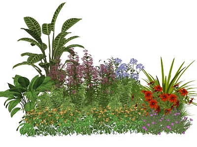 Tall And Low Plant Combination With Colorful Flowers Green Foliage And Garden Blooms 3d model