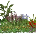 Tall And Low Plant Combination With Colorful Flowers Green Foliage And Garden Blooms
