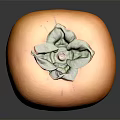Ripe Persimmon Orange Round Fruit With Green Leaves On Top On Dark Background And Reflection
