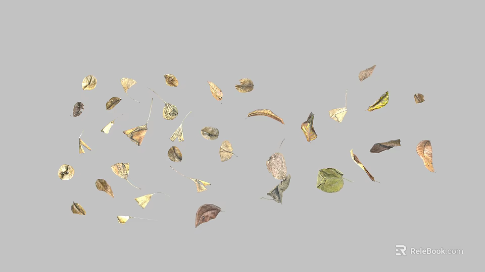 Dried Leaves With Various Colors And Shapes As Garden Decor Accents 3d model 