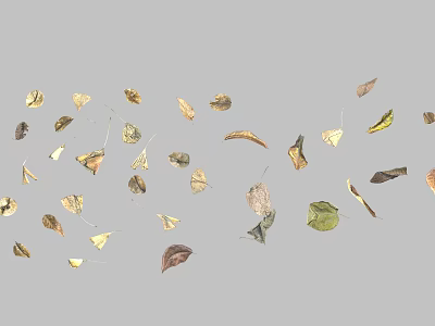 Dried Leaves With Various Colors And Shapes As Garden Decor Accents 3d model