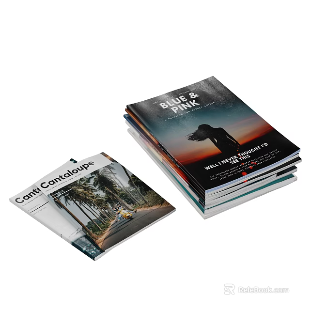 Stack of Travel Magazines With Coast Landscape And Sunset Person Silhouette Cover 3d model 