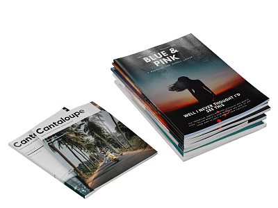 Stack of Travel Magazines With Coast Landscape And Sunset Person Silhouette Cover 3d model