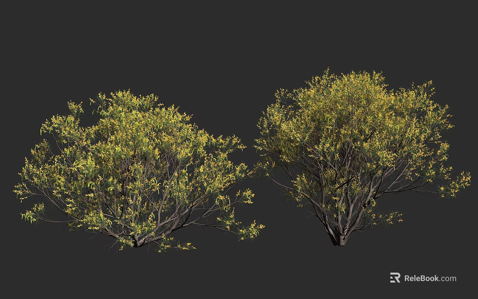 Two Lush Green Trees With Dense Foliage And Brown Trunks On Dark Background 3d model 