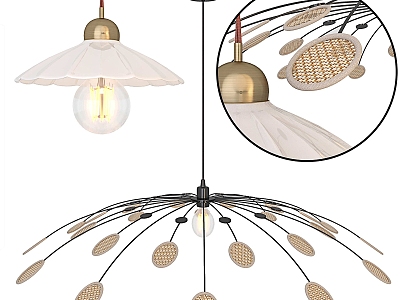 Chandelier Shell Chandelier 3d model