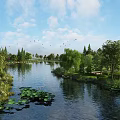 Beautiful Park Landscape with Serene River Lotus Leaves Green Trees and Flying Birds Under Blue Sky