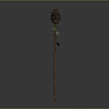 Isolated Plant Featuring Pine Cone Like Top Slender Stem And Small Green Leaves