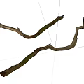 Curved Textured Wood Branches With Rustic Stone Accents For Natural Decoration