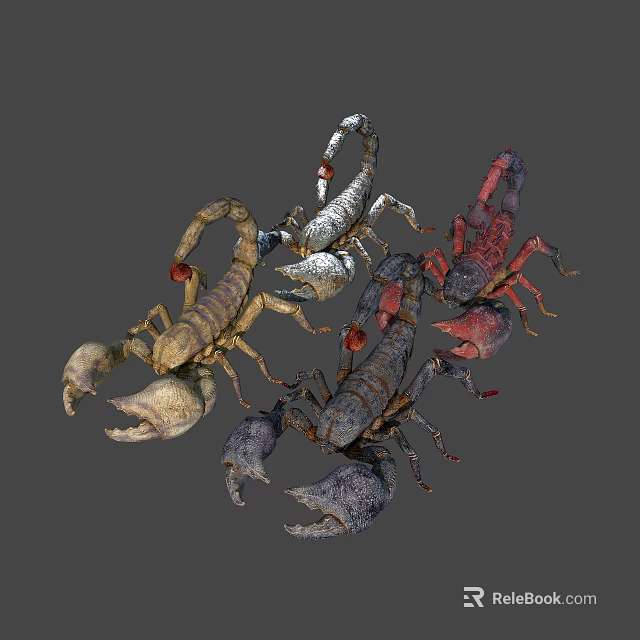 Various Multi Colored Scorpions With Pincers And Curled Tails Displayed 3d model 