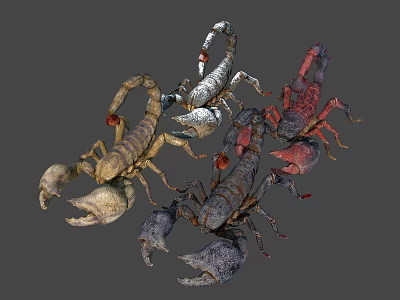 Various Multi Colored Scorpions With Pincers And Curled Tails Displayed 3d model