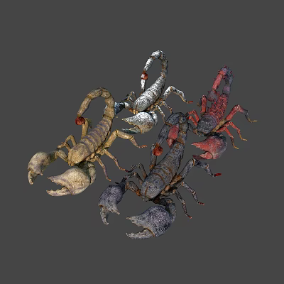 Modern Scorpion 3d model
