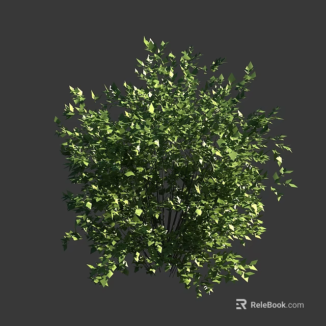 Green Shrub With Lush Dense Foliage And Vibrant Green Leaves 3d model 